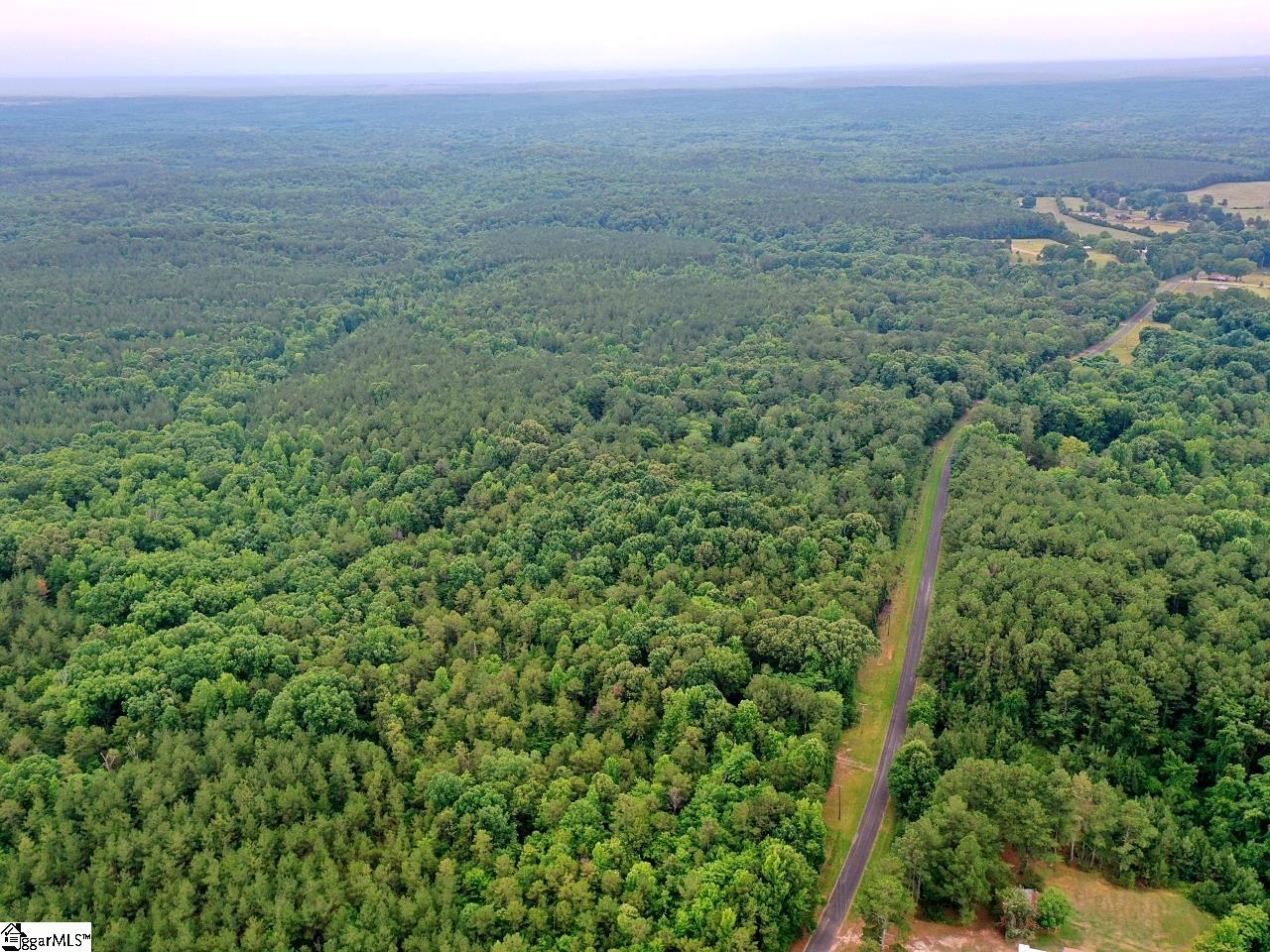0 Prospect Corner Rd Union Union, SC 29379 - Photo 4 of 14
