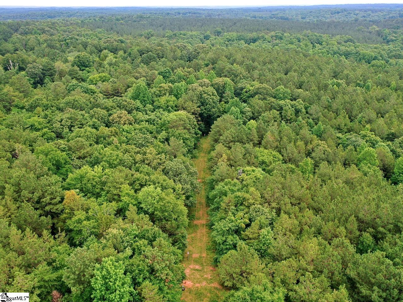 0 Prospect Corner Rd Union Union, SC 29379 - Photo 6 of 14