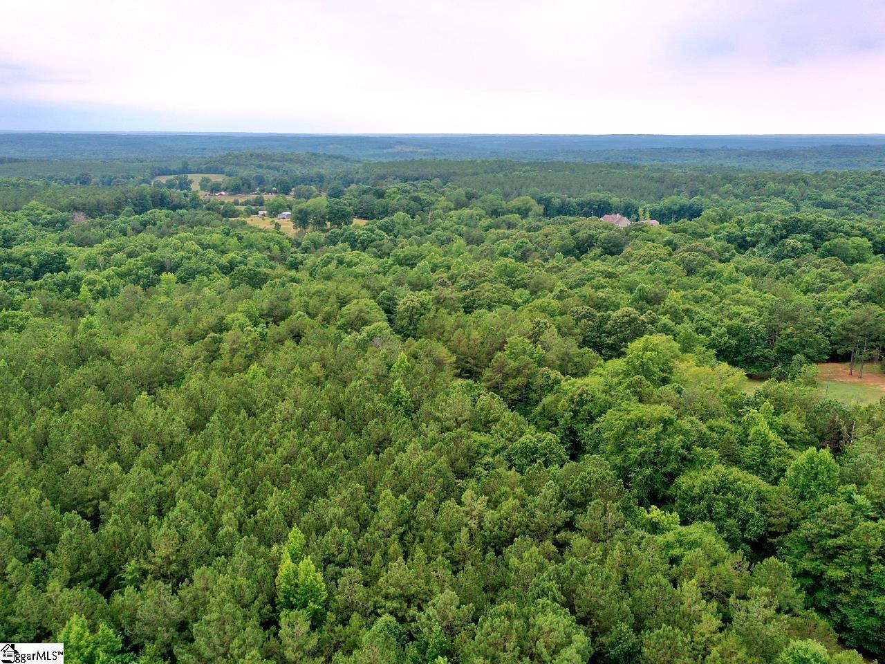 0 Prospect Corner Rd Union Union, SC 29379 - Photo 7 of 14