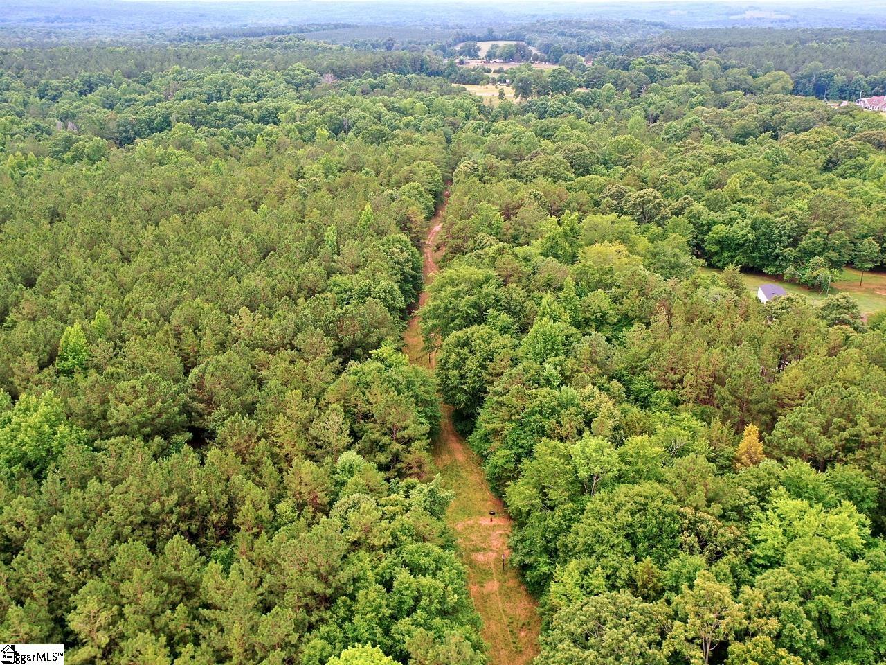 0 Prospect Corner Rd Union Union, SC 29379 - Photo 8 of 14