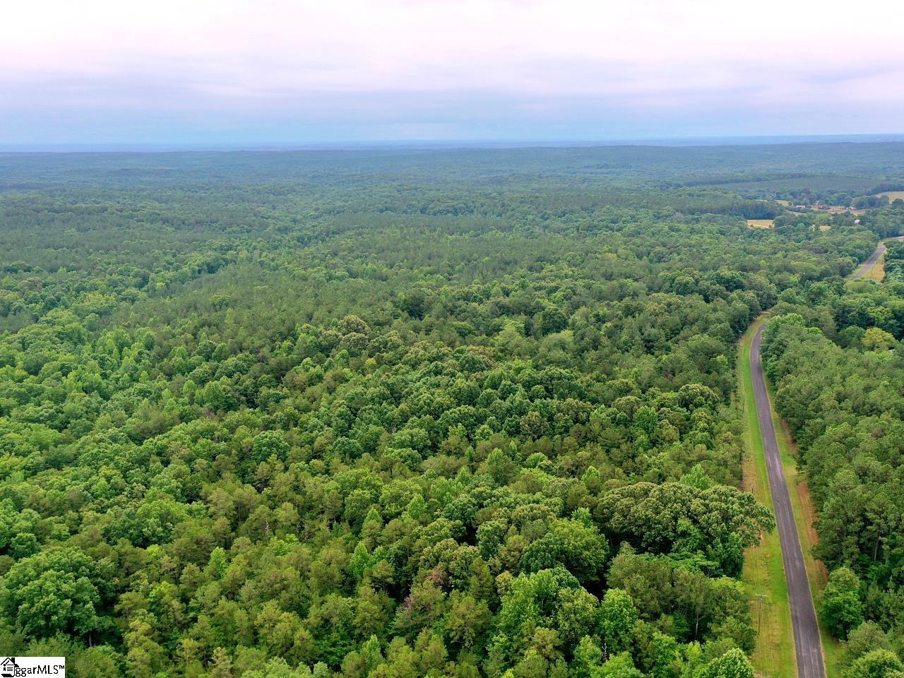 0 Prospect Corner Rd Union Union, SC 29379 - Photo 10 of 14