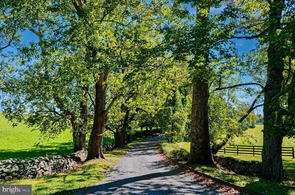 a view of a garden with a bench under an umbrella
