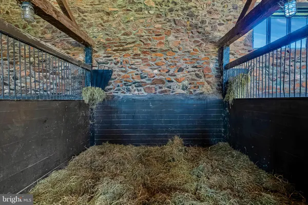 a view of a garden with plants and trees