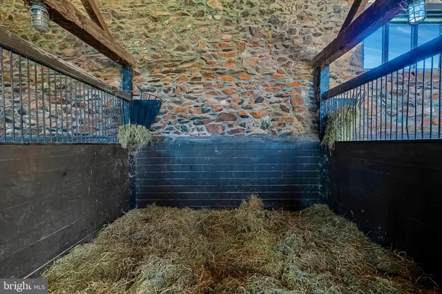 a view of a garden with plants and trees