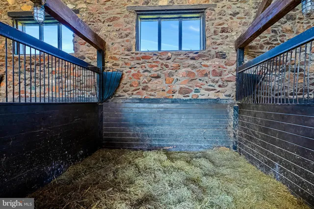 a view of a garden with a tree