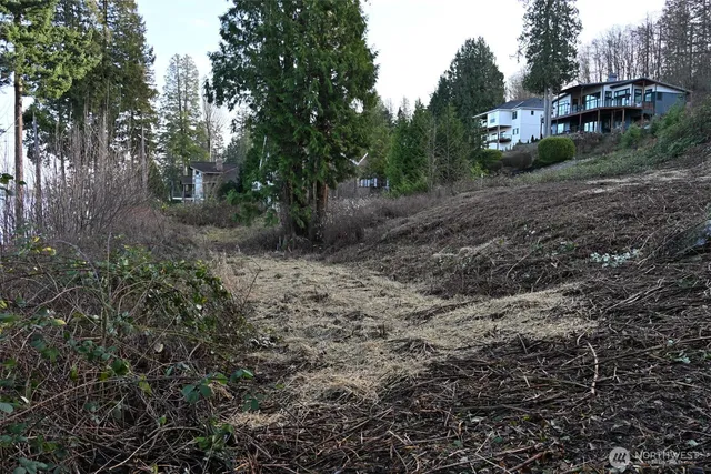 a view of a yard with plants and trees