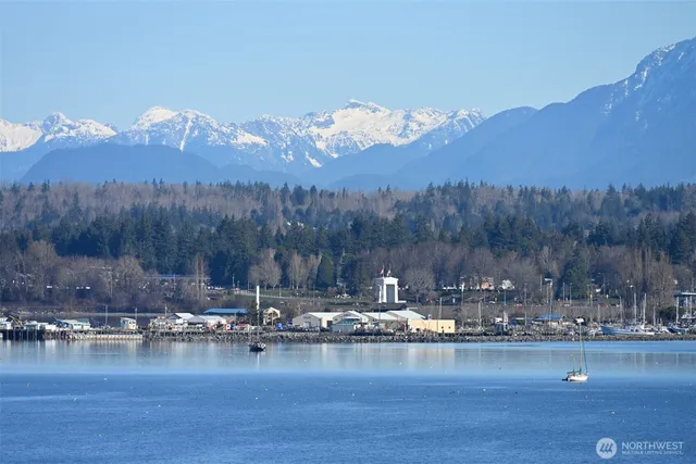 a view of a lake with a mountain in the background