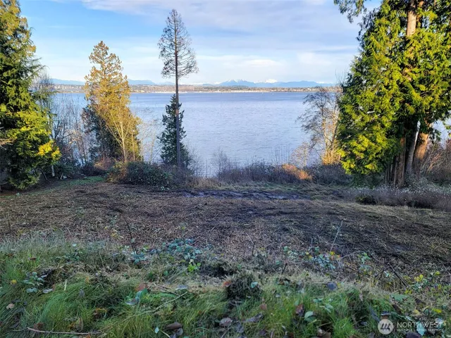 a view of a yard with a fountain