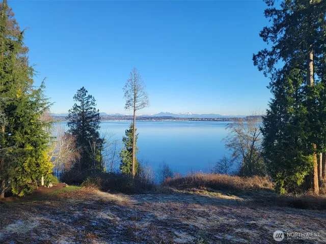 a view of a lake with a tree in the background