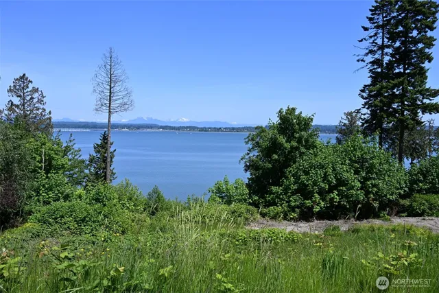 a view of a garden with a lake