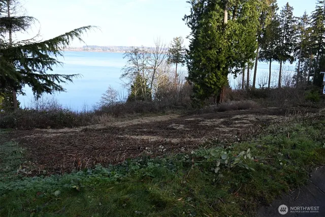 a view of a yard next to a lake view