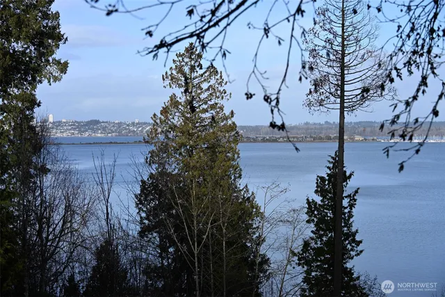 a view of a yard with wooden fence