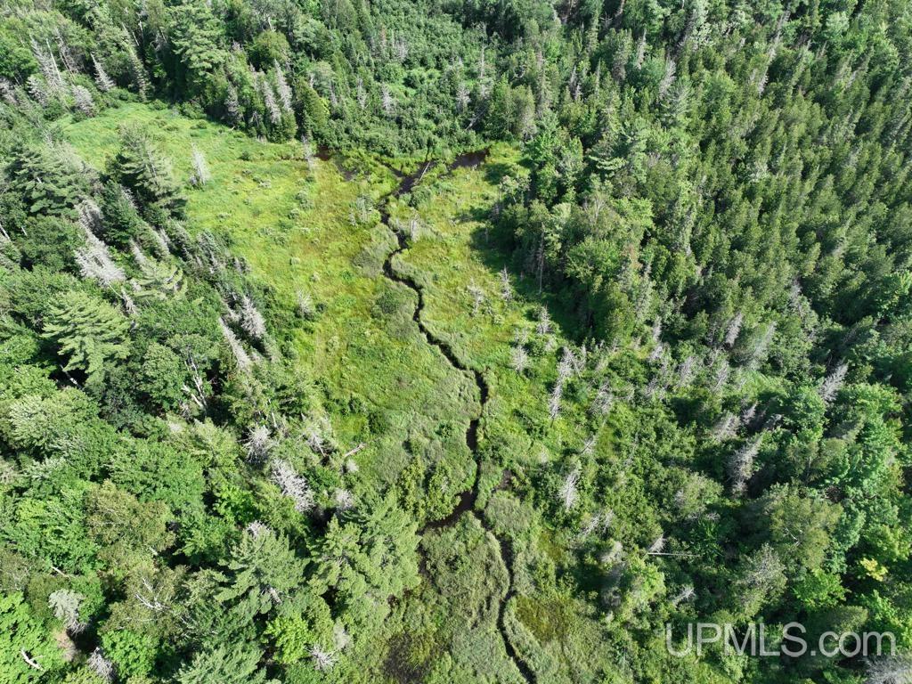 0 Gold Mine Lake Road Ishpeming, MI 49849 - Photo 6 of 19