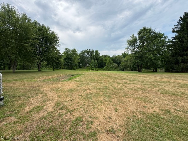 620 Ravenna Road Newton Falls, OH 44444 - Photo 21 of 23 Expansive grassy area featuring mature deciduous trees and evergreen trees at the perimeter