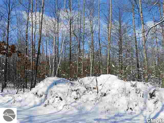 Tbd North Mason Road Wheeler, MI 48662 - Photo 10 of 12 1764885-9.JPG