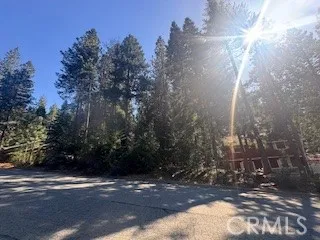 a view of outdoor space and trees all around