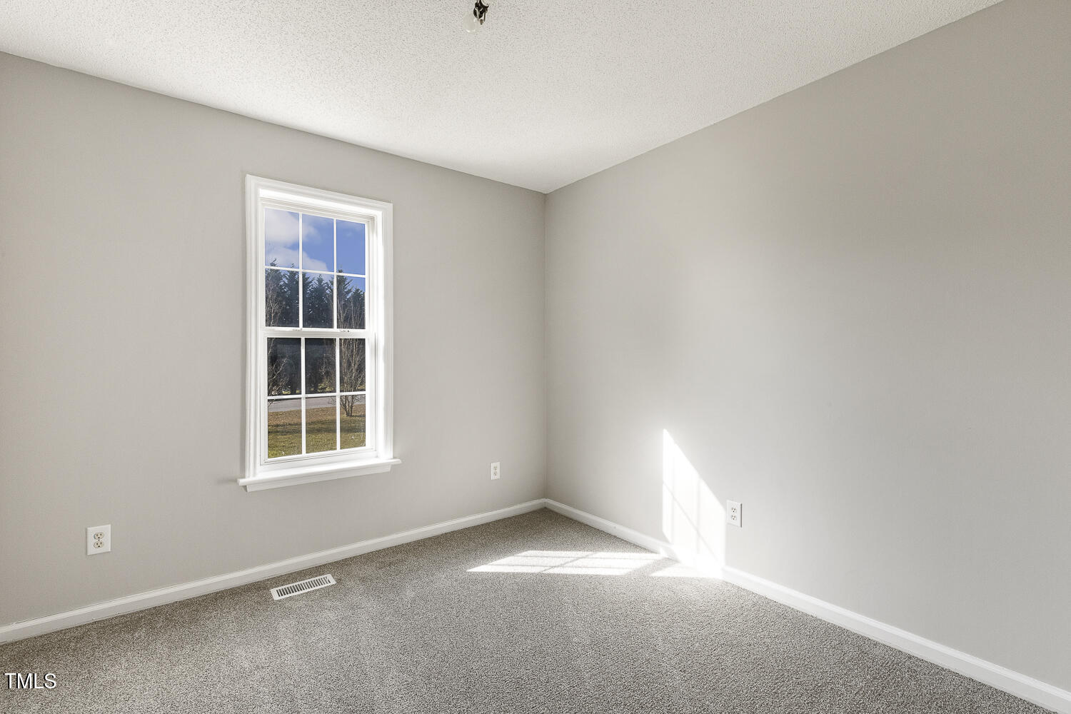 112 Amber Lane Willow Spring, NC 27592 - Photo 16 of 23 123