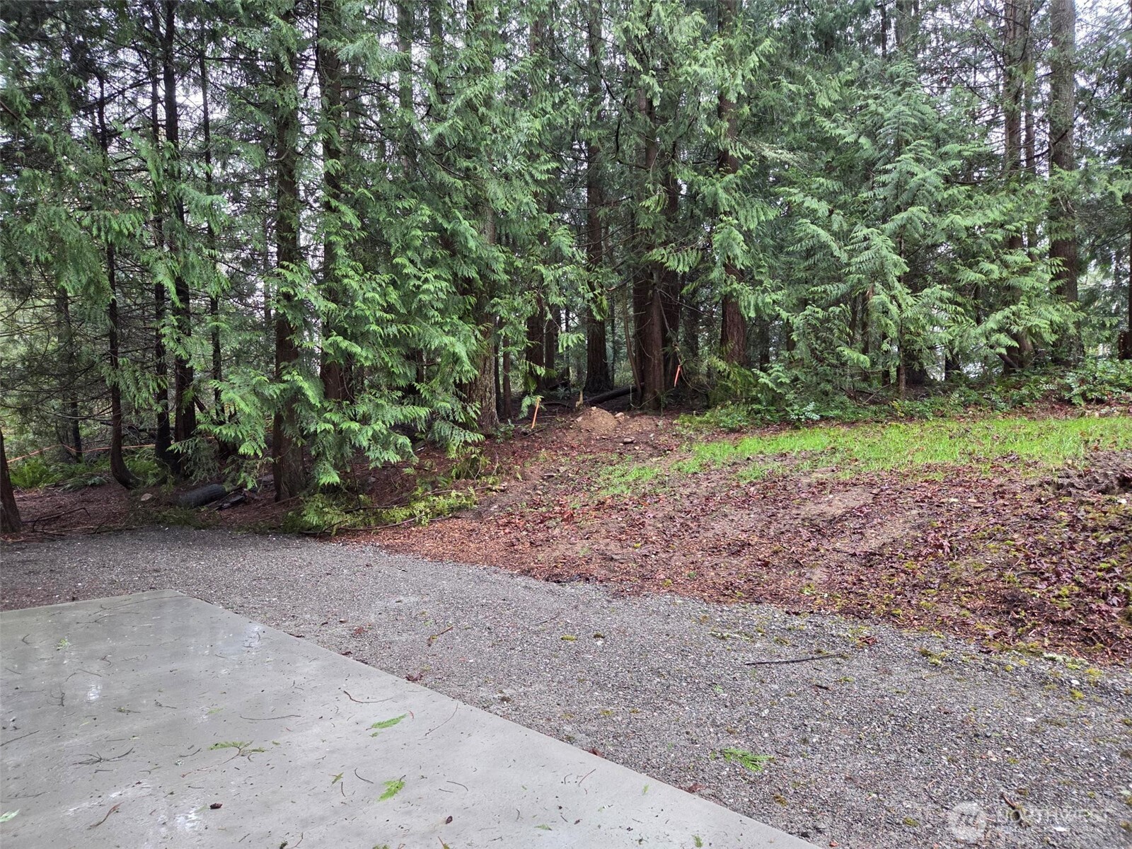 51-xx Weber Road, Unit 5 Snohomish, WA 98290 - Photo 4 of 6 a view of a yard with a tree