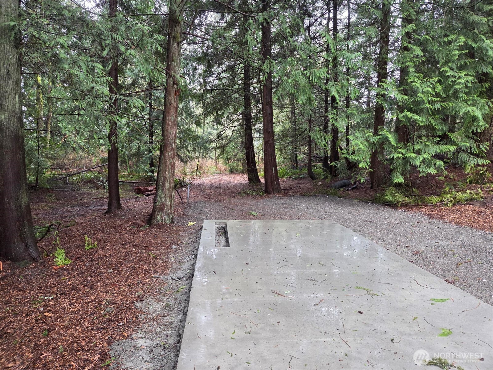 51-xx Weber Road, Unit 5 Snohomish, WA 98290 - Photo 5 of 6 a view of a forest with trees in the background