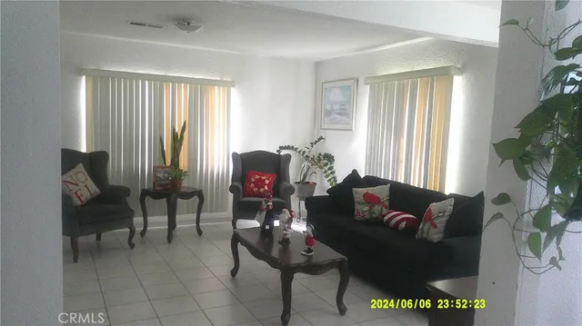 a living room with furniture and a potted plant