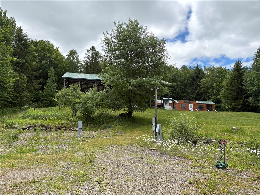 174 Peraglie Road Jefferson, NY 12093 - Photo 25 of 31