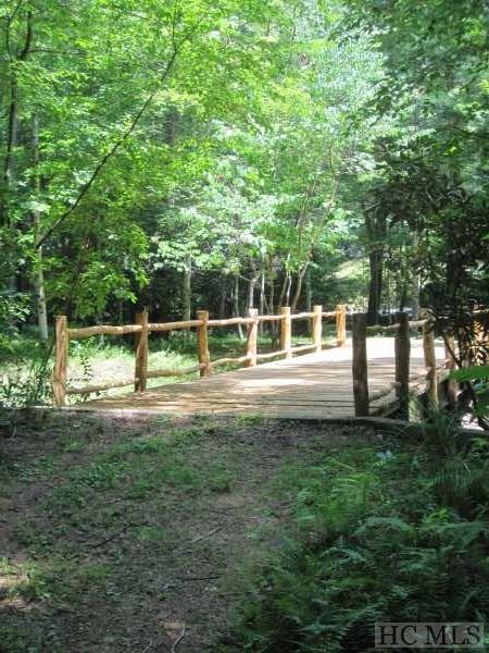 Tbd Walking Stick Road Clayton, GA 30525 - Photo 4 of 16 Gallery Image 4