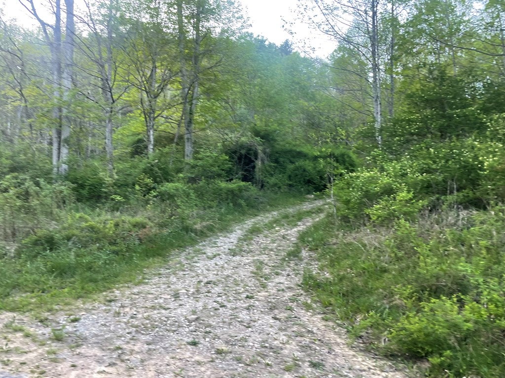0 Bob Byrd Road Camp Creek, WV 25820 - Photo 12 of 12 Gallery Image 12