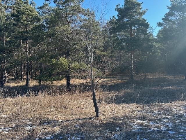 0 North 31 Road Manton, MI 49663 - Photo 3 of 13