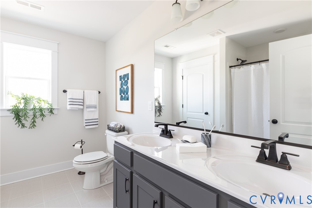 16852 Sheppards Fold Way Beaverdam, VA 23015 - Photo 27 of 30 a bathroom with a sink a toilet and a mirror