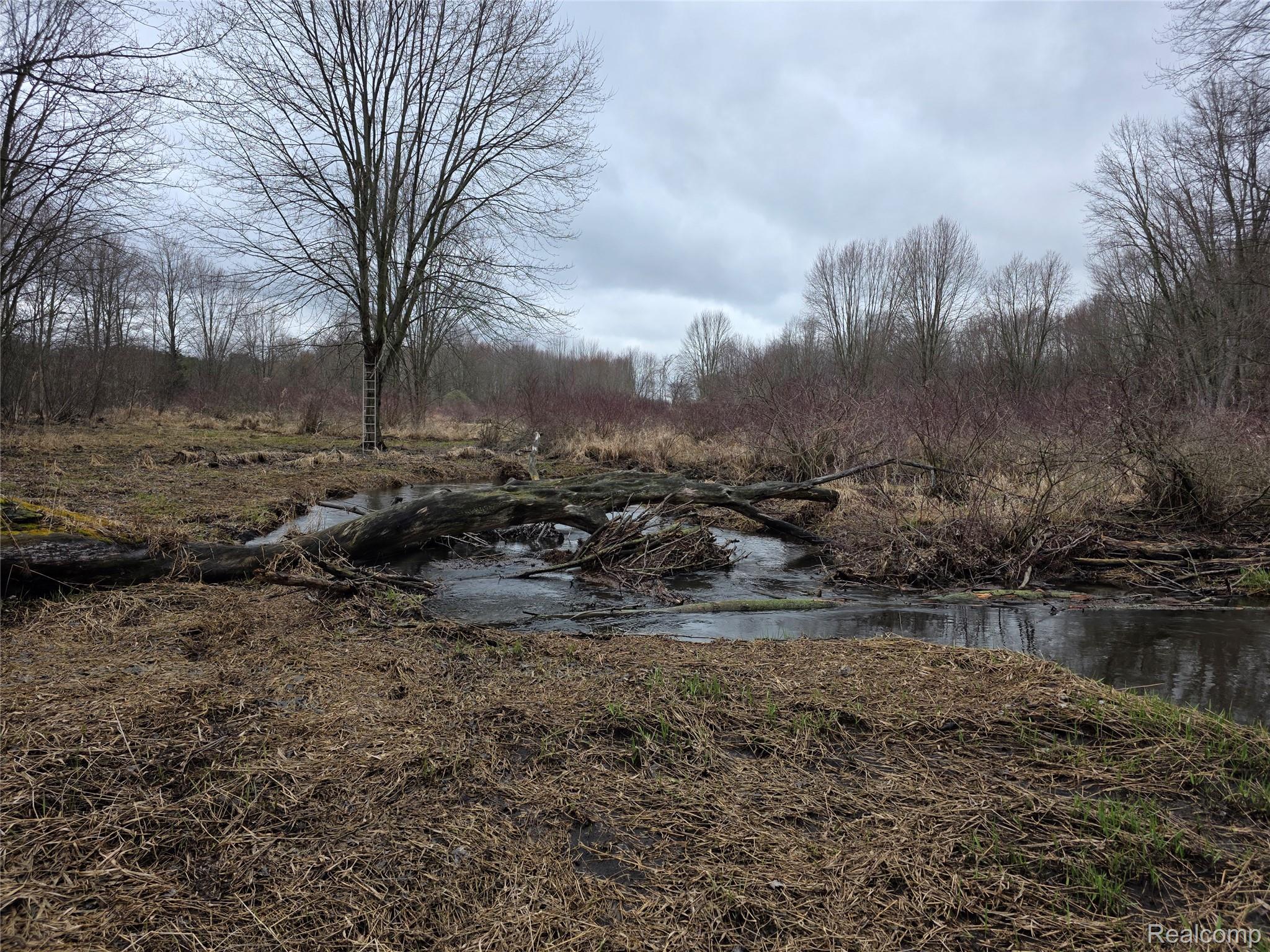 0 Martus Road North Branch, MI 48461 - Photo 14 of 19 Cedar Creek