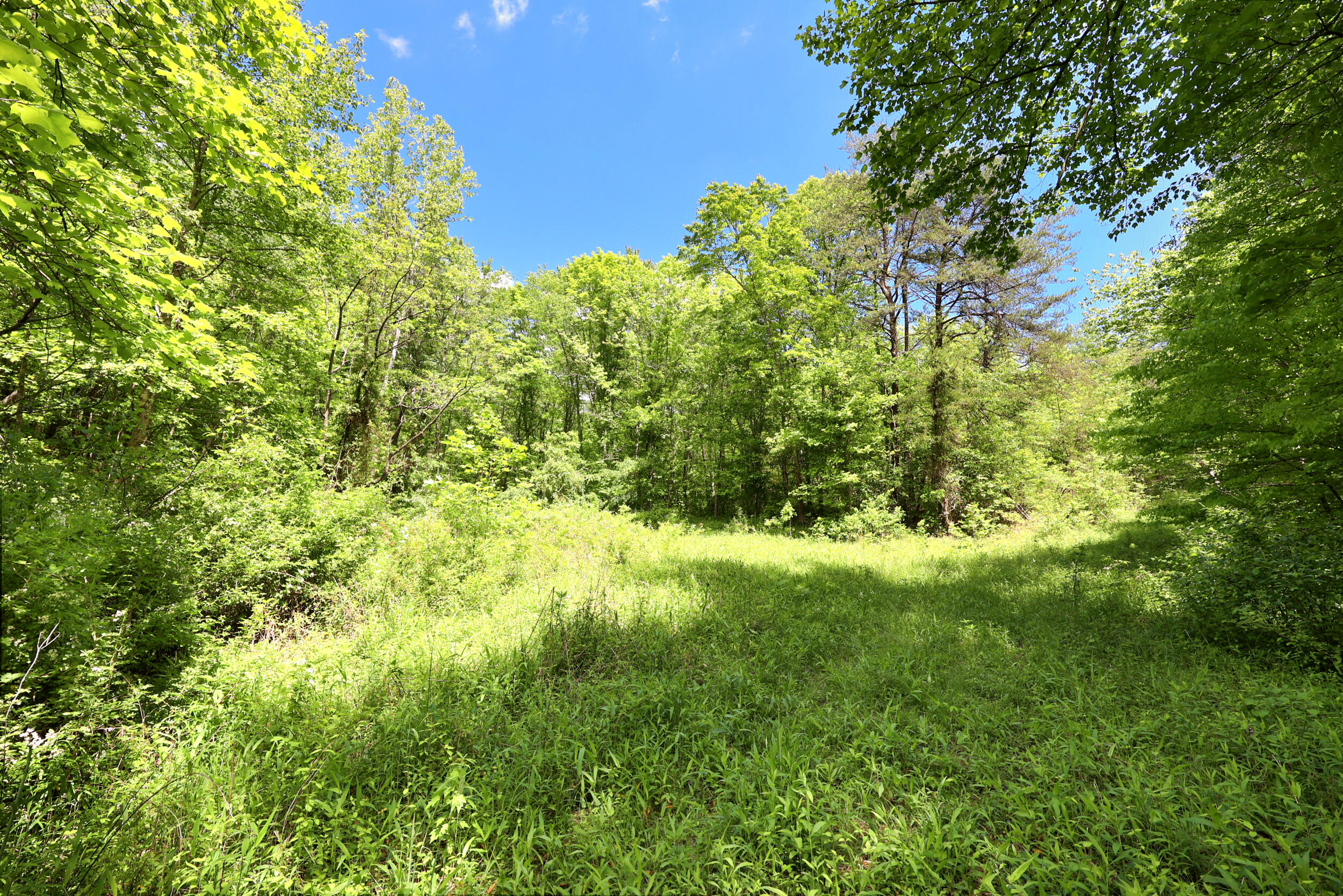 9999 Long Branch Road London, KY 40741 - Photo 8 of 30 4_pend7157