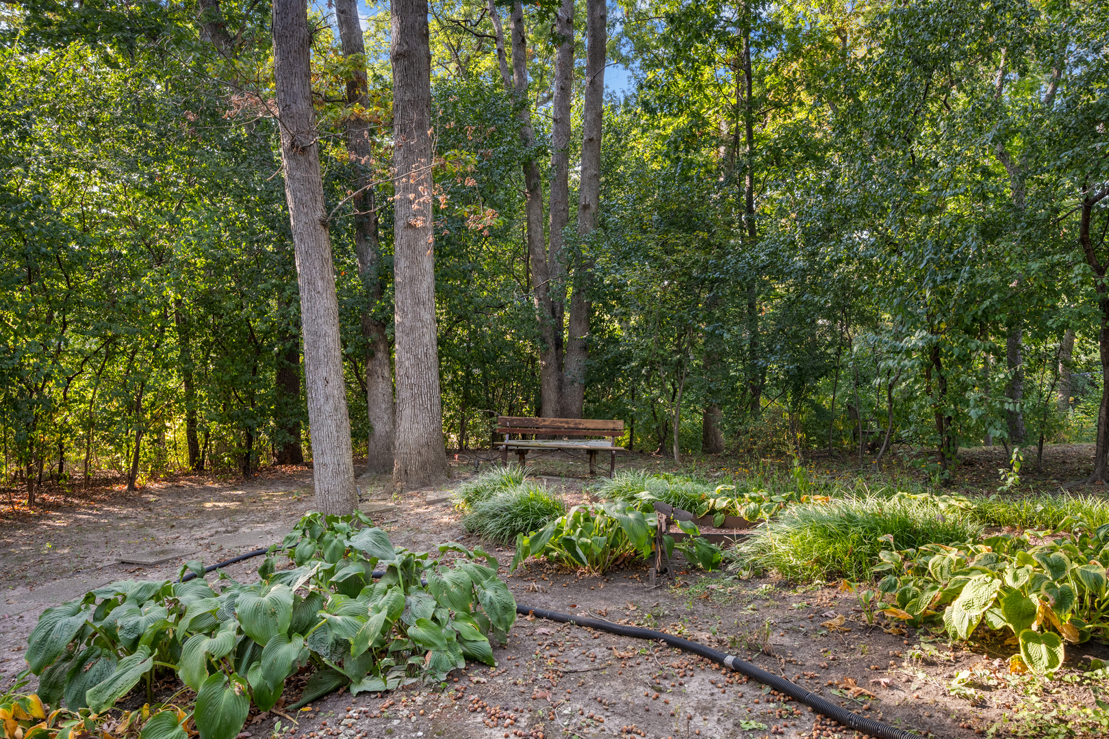 722 Forest Hill Road Lake Forest, IL 60045 - Photo 44 of 48