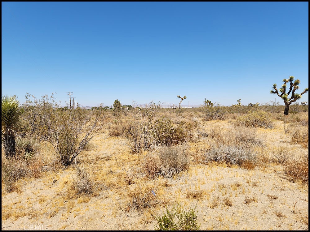 0 Oasis Road Pinon Hills, CA 92372 - Photo 12 of 14 a view of a beach with a mountain in the background
