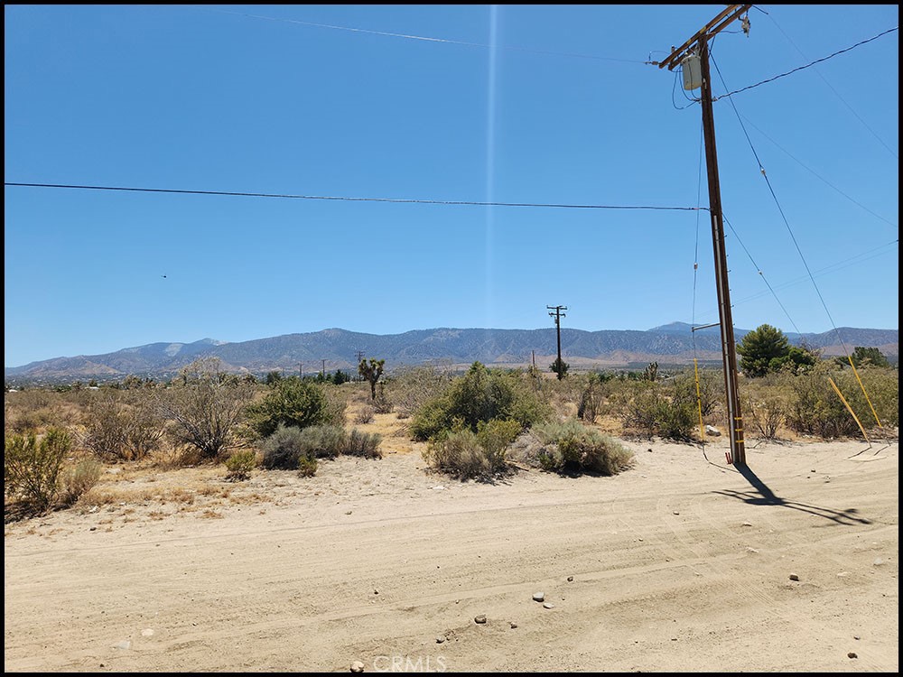 0 Oasis Road Pinon Hills, CA 92372 - Photo 8 of 14 a view of a backyard of a house