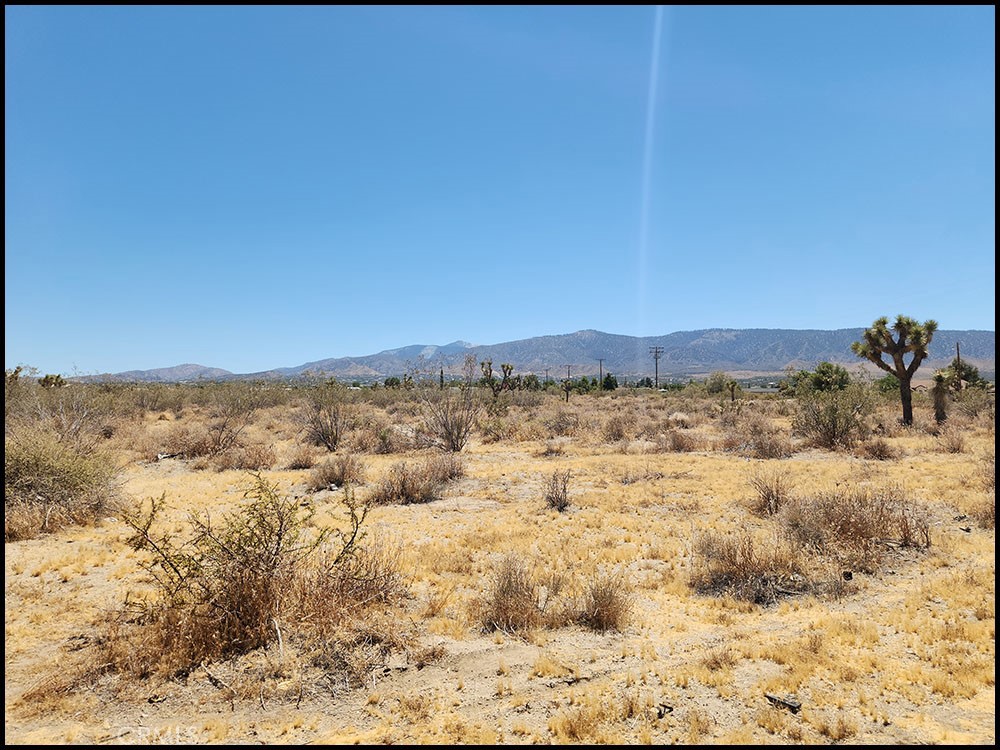 0 Oasis Road Pinon Hills, CA 92372 - Photo 9 of 14 a view of sky view