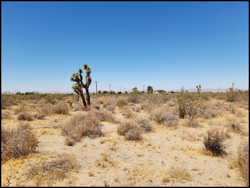 0 Oasis Road Pinon Hills, CA 92372 - Photo 10 of 14 a view of ocean with a mountain