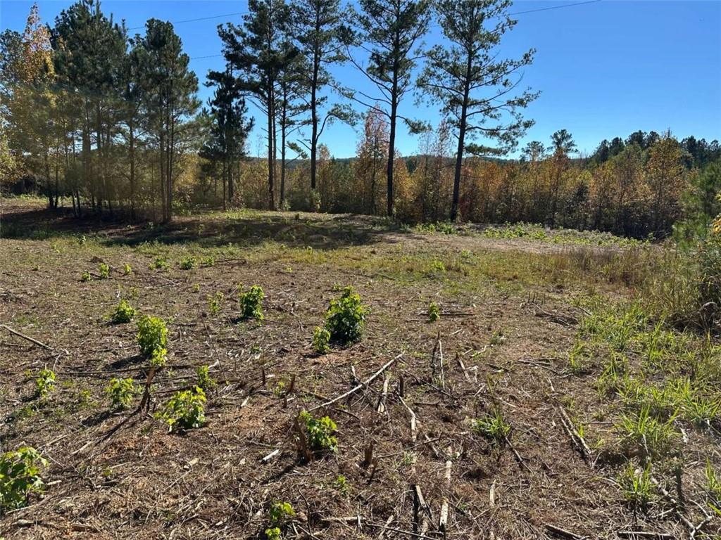 3 Culp Lake Road Cedartown, GA 30125 - Photo 2 of 5 a view of backyard with green space