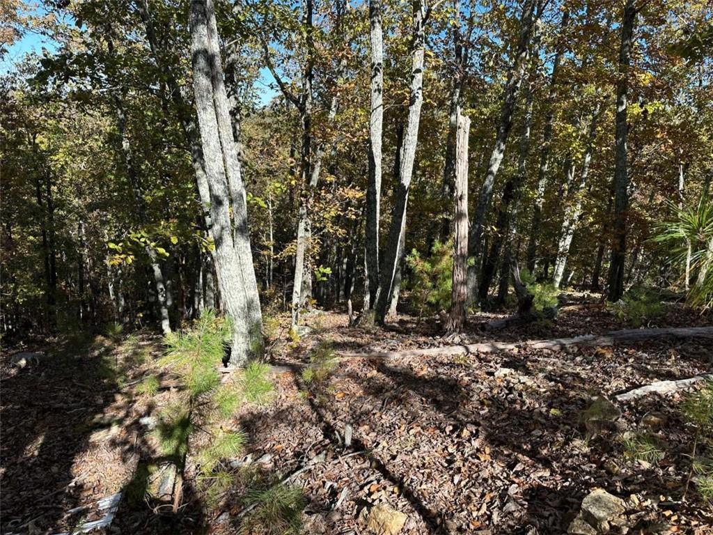 3 Culp Lake Road Cedartown, GA 30125 - Photo 3 of 5 a backyard of a house with lots of green space