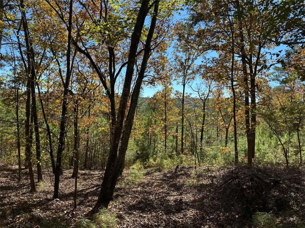 3 Culp Lake Road Cedartown, GA 30125 - Photo 4 of 5 a view of forest