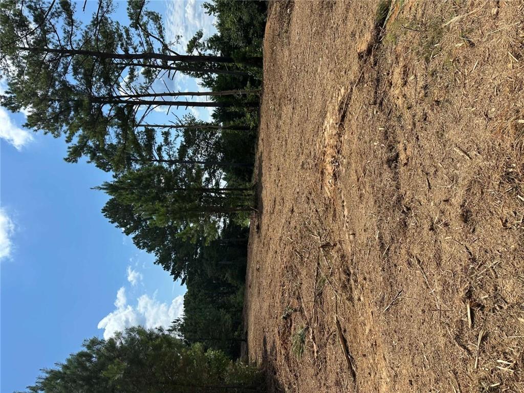 3 Culp Lake Road Cedartown, GA 30125 - Photo 5 of 5