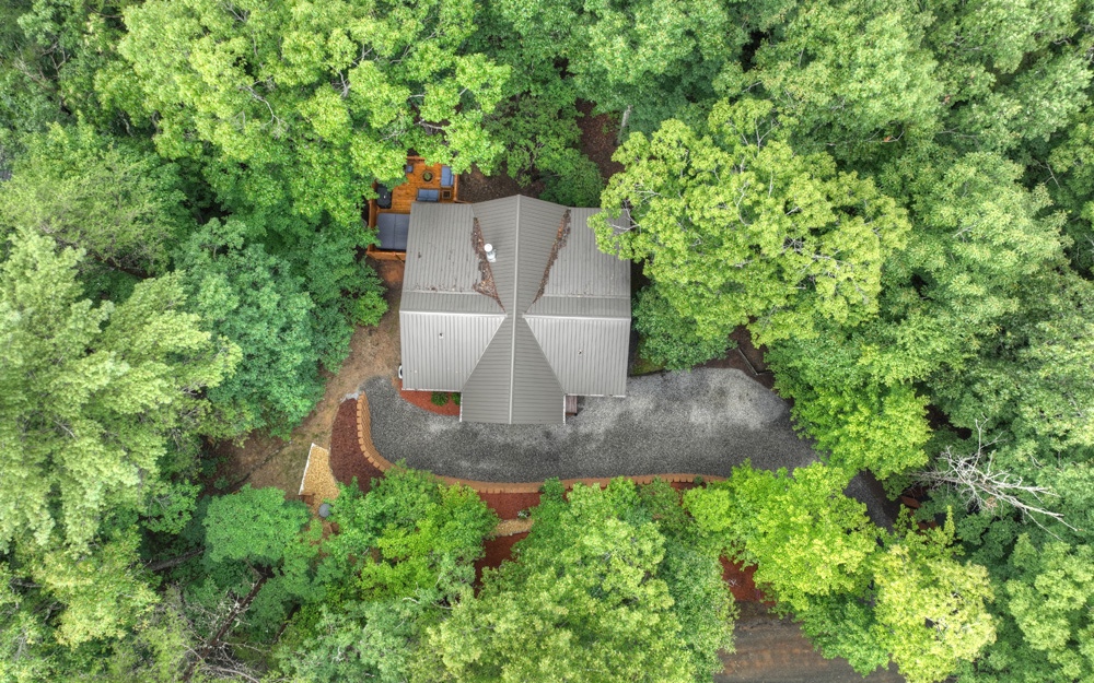 157 Little Bushy Head Road Blue Ridge, GA 30513 - Photo 39 of 50 Additional View