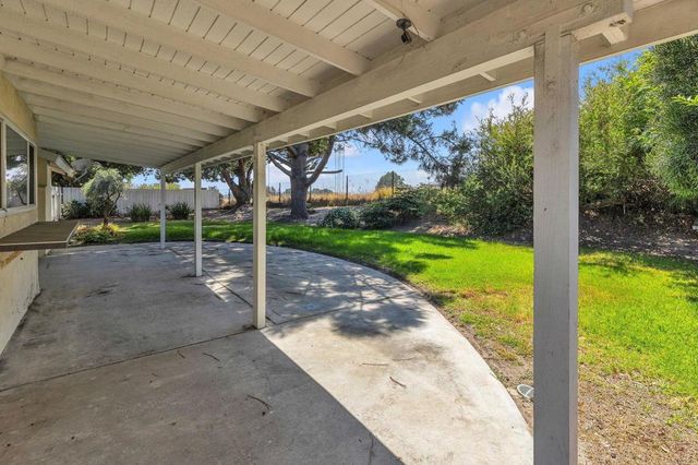 a view of a yard with plants and a large tree