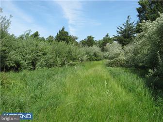 8 Province Line Road New Egypt, NJ 08533 - Photo 6 of 12 View