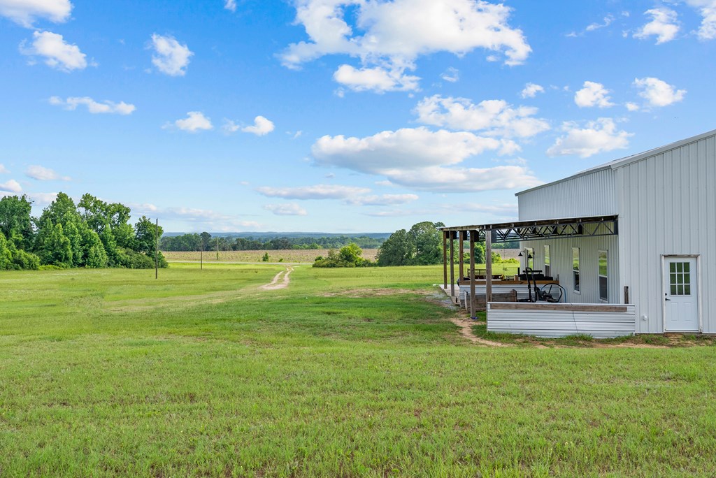 129 Hayes Road Mauk, GA 31058 - Photo 25 of 45 long range views looking North from the Barndo