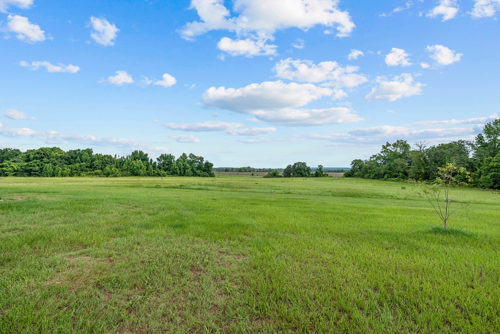129 Hayes Road Mauk, GA 31058 - Photo 26 of 45