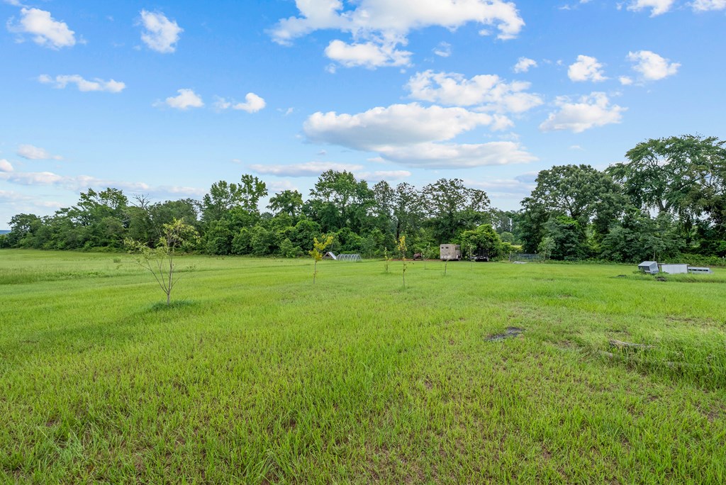 129 Hayes Road Mauk, GA 31058 - Photo 27 of 45