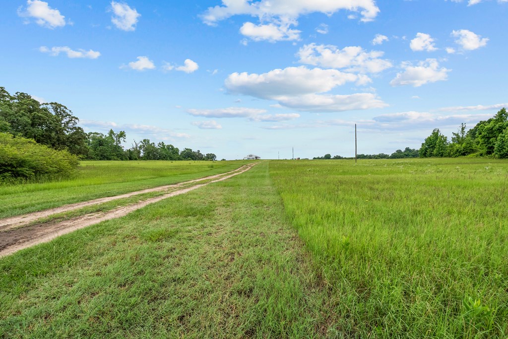 129 Hayes Road Mauk, GA 31058 - Photo 30 of 45 42.2 acres