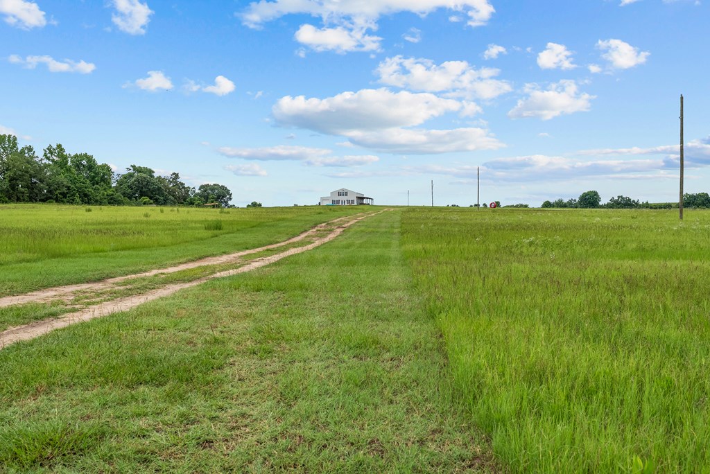 129 Hayes Road Mauk, GA 31058 - Photo 31 of 45