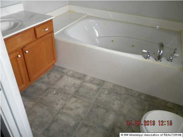 61 Briscoe Road Holly Springs, MS 38635 - Photo 4 of 9 Additional Photo