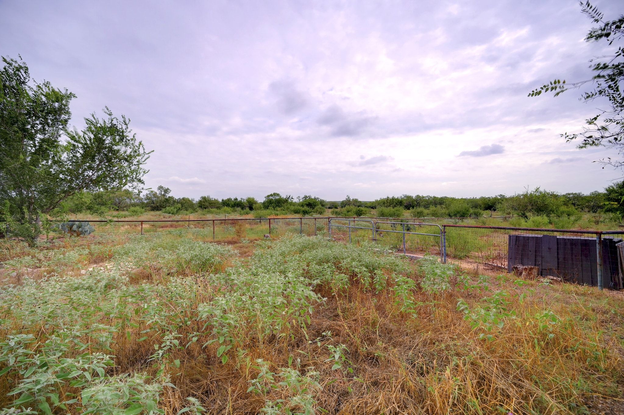 4598 Highway 173 Devine, TX 78016 - Photo 21 of 40 View of yard with a view of rural / pastoral area